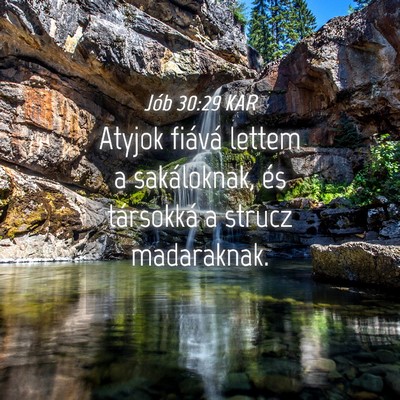 Picture 04 - Jób 30:29 KAR - Atyjok fiává lettem a sakáloknak, és - Bible Verse Picture