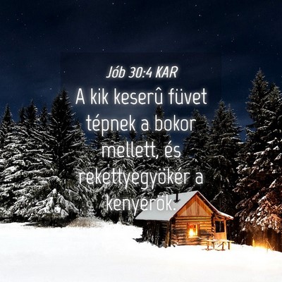 Picture 04 - Jób 30:4 KAR - A kik keserû füvet tépnek a bokor mellett, és - Bible Verse Picture