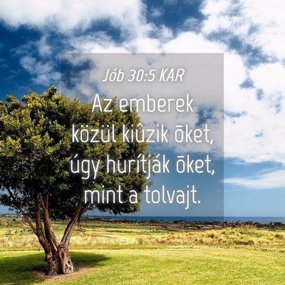 Picture 04 - Jób 30:5 KAR - Az emberek közül kiûzik õket, úgy hurítják - Bible Verse Picture