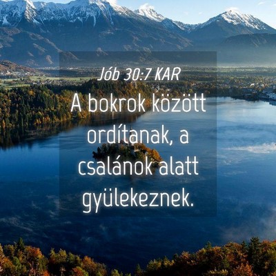 Picture 04 - Jób 30:7 KAR - A bokrok között ordítanak, a csalánok alatt - Bible Verse Picture