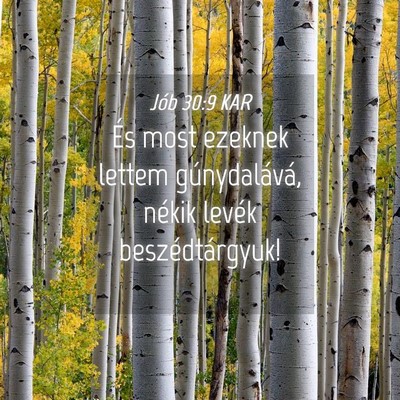 Picture 04 - Jób 30:9 KAR - És most ezeknek lettem gúnydalává, nékik - Bible Verse Picture