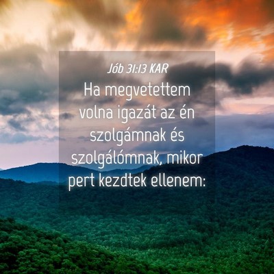 Picture 04 - Jób 31:13 KAR - Ha megvetettem volna igazát az én szolgámnak - Bible Verse Picture
