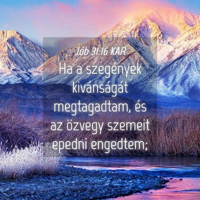 Picture 04 - Jób 31:16 KAR - Ha a szegények kivánságát megtagadtam, és az - Bible Verse Picture