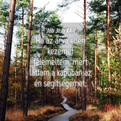 Picture 04 - Jób 31:21 KAR - Ha az árva ellen kezemet felemeltem, mert - Bible Verse Picture