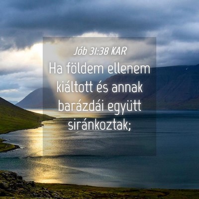 Picture 04 - Jób 31:38 KAR - Ha földem ellenem kiáltott és annak barázdái - Bible Verse Picture