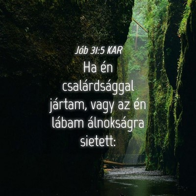 Picture 04 - Jób 31:5 KAR - Ha én csalárdsággal jártam, vagy az én - Bible Verse Picture