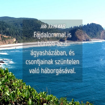 Picture 04 - Jób 33:19 KAR - Fájdalommal is bünteti az õ ágyasházában, - Bible Verse Picture