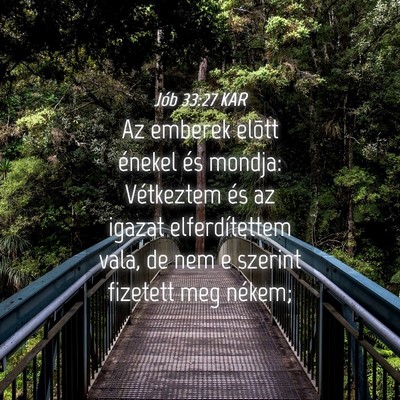 Picture 04 - Jób 33:27 KAR - Az emberek elõtt énekel és mondja: Vétkeztem - Bible Verse Picture