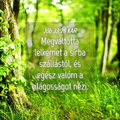 Picture 04 - Jób 33:28 KAR - Megváltotta lelkemet a sírba szállástól, és - Bible Verse Picture