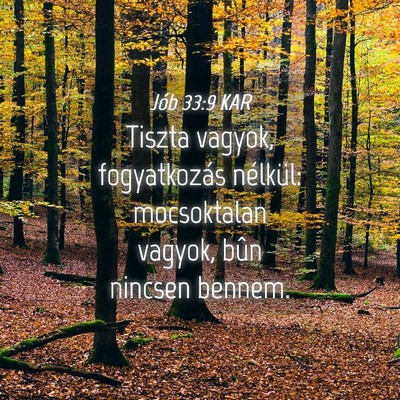 Picture 04 - Jób 33:9 KAR - Tiszta vagyok, fogyatkozás nélkül: mocsoktalan - Bible Verse Picture