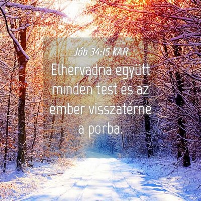 Picture 04 - Jób 34:15 KAR - Elhervadna együtt minden test és az ember - Bible Verse Picture
