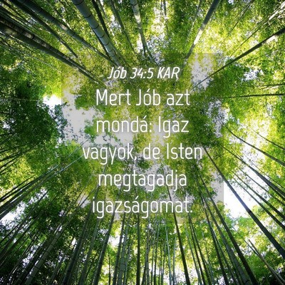 Picture 04 - Jób 34:5 KAR - Mert Jób azt mondá: Igaz vagyok, de Isten - Bible Verse Picture