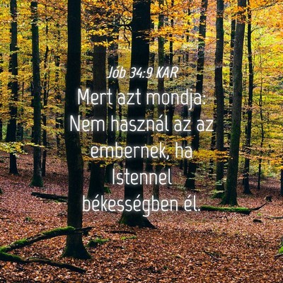 Picture 04 - Jób 34:9 KAR - Mert azt mondja: Nem használ az az embernek, ha - Bible Verse Picture