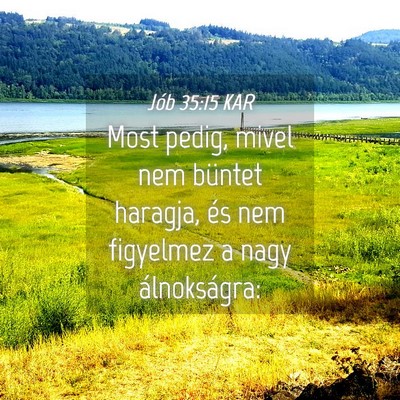 Picture 04 - Jób 35:15 KAR - Most pedig, mivel nem büntet haragja, és nem - Bible Verse Picture