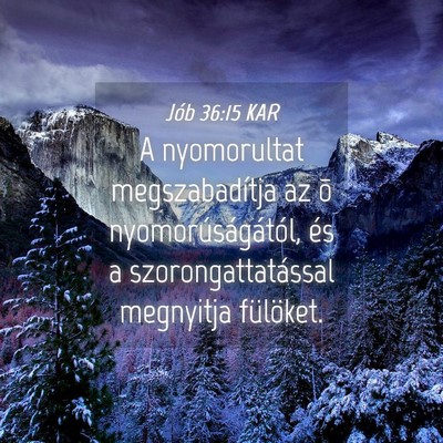 Picture 04 - Jób 36:15 KAR - A nyomorultat megszabadítja az õ - Bible Verse Picture