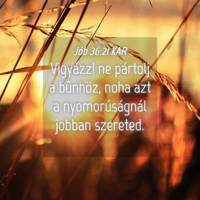 Picture 04 - Jób 36:21 KAR - Vigyázz! ne pártolj a bûnhöz, noha azt a - Bible Verse Picture