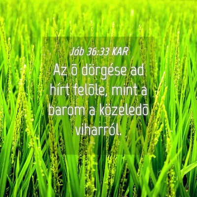 Picture 04 - Jób 36:33 KAR - Az õ dörgése ad hírt felõle, mint a barom a - Bible Verse Picture