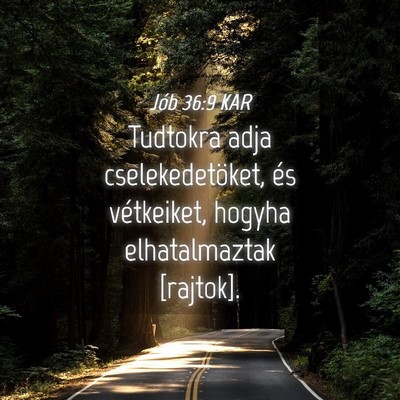 Picture 04 - Jób 36:9 KAR - Tudtokra adja cselekedetöket, és vétkeiket, - Bible Verse Picture