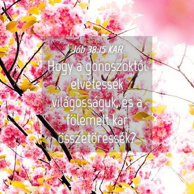 Picture 04 - Jób 38:15 KAR - Hogy a gonoszoktól elvétessék világosságuk, - Bible Verse Picture