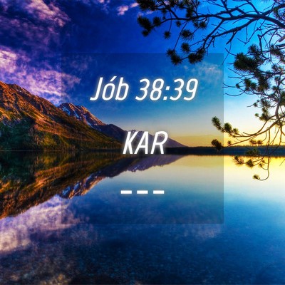 Picture 04 - Jób 38:39 KAR -  - Bible Verse Picture