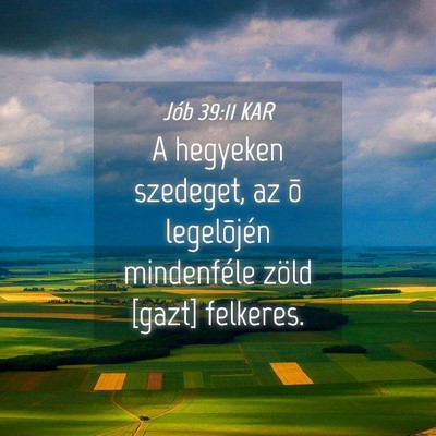 Picture 04 - Jób 39:11 KAR - A hegyeken szedeget, az õ legelõjén - Bible Verse Picture
