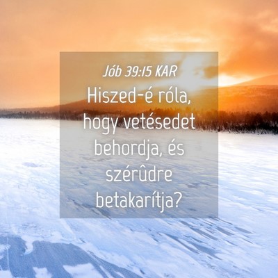 Picture 04 - Jób 39:15 KAR - Hiszed-é róla, hogy vetésedet behordja, és - Bible Verse Picture