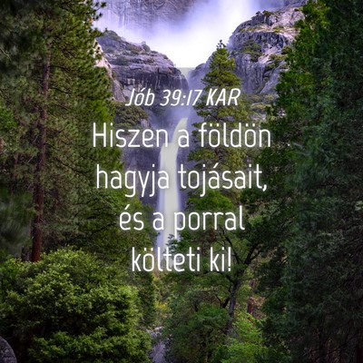 Picture 04 - Jób 39:17 KAR - Hiszen a földön hagyja tojásait, és a porral - Bible Verse Picture