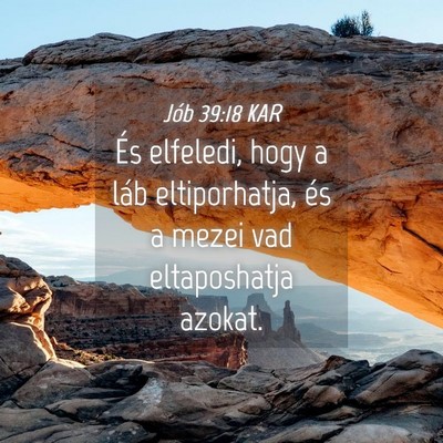 Picture 04 - Jób 39:18 KAR - És elfeledi, hogy a láb eltiporhatja, és a - Bible Verse Picture