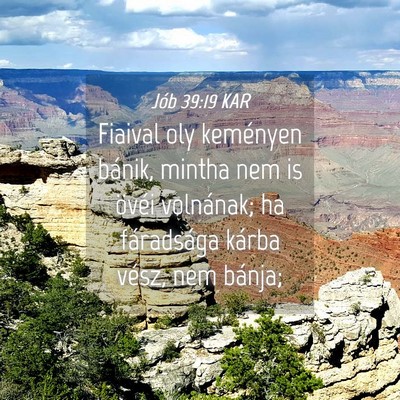 Picture 04 - Jób 39:19 KAR - Fiaival oly keményen bánik, mintha nem is - Bible Verse Picture