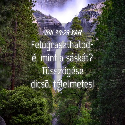Picture 04 - Jób 39:23 KAR - Felugraszthatod-é, mint a sáskát? - Bible Verse Picture