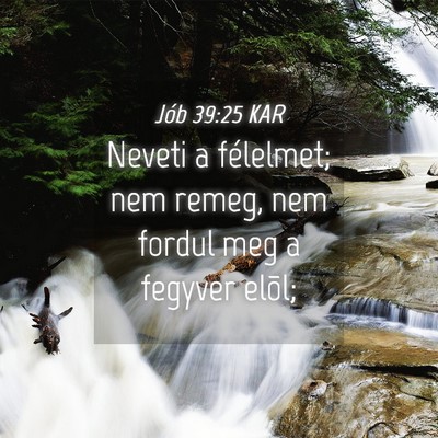 Picture 04 - Jób 39:25 KAR - Neveti a félelmet; nem remeg, nem fordul meg a - Bible Verse Picture