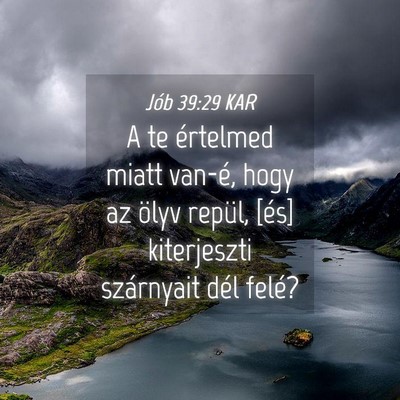 Picture 04 - Jób 39:29 KAR - A te értelmed miatt van-é, hogy az ölyv - Bible Verse Picture