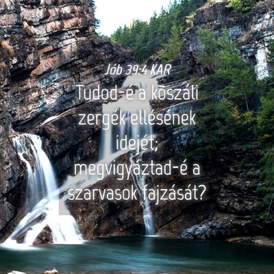 Picture 04 - Jób 39:4 KAR - Tudod-é a kõszáli zergék ellésének idejét; - Bible Verse Picture