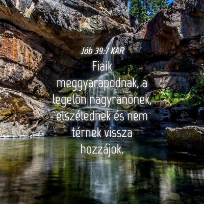 Picture 04 - Jób 39:7 KAR - Fiaik meggyarapodnak, a legelõn nagyranõnek, - Bible Verse Picture