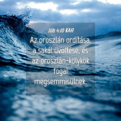 Picture 04 - Jób 4:10 KAR - Az oroszlán ordítása, a sakál üvöltése, - Bible Verse Picture