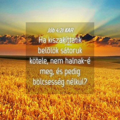 Picture 04 - Jób 4:21 KAR - Ha kiszakíttatik belõlök sátoruk kötele, nem - Bible Verse Picture