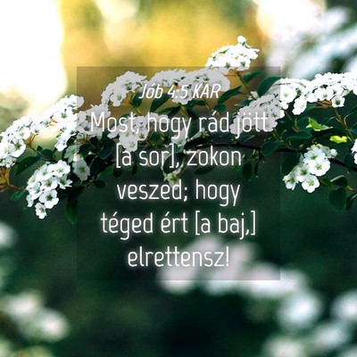 Picture 04 - Jób 4:5 KAR - Most, hogy rád jött [a sor], zokon veszed; hogy - Bible Verse Picture