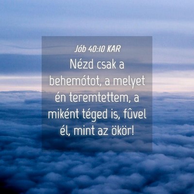 Picture 04 - Jób 40:10 KAR - Nézd csak a behemótot, a melyet én - Bible Verse Picture