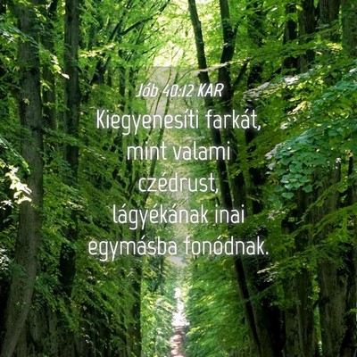 Picture 04 - Jób 40:12 KAR - Kiegyenesíti farkát, mint valami czédrust, - Bible Verse Picture
