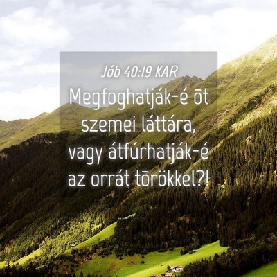 Picture 04 - Jób 40:19 KAR - Megfoghatják-é õt szemei láttára, vagy - Bible Verse Picture
