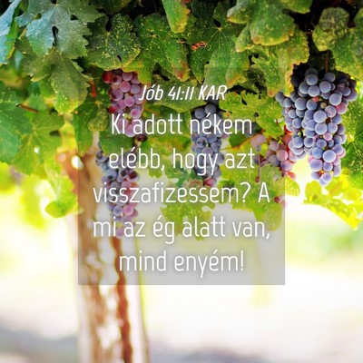 Picture 04 - Jób 41:11 KAR - Ki adott nékem elébb, hogy azt visszafizessem? - Bible Verse Picture