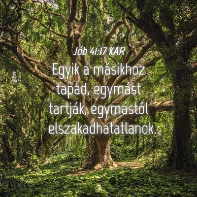 Picture 04 - Jób 41:17 KAR - Egyik a másikhoz tapad, egymást tartják, - Bible Verse Picture