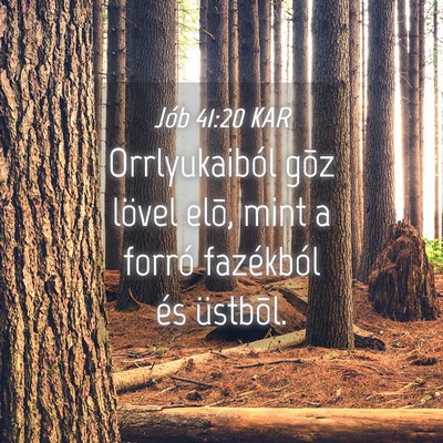 Picture 04 - Jób 41:20 KAR - Orrlyukaiból gõz lövel elõ, mint a forró - Bible Verse Picture