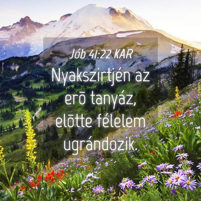 Picture 04 - Jób 41:22 KAR - Nyakszirtjén az erõ tanyáz, elõtte félelem - Bible Verse Picture