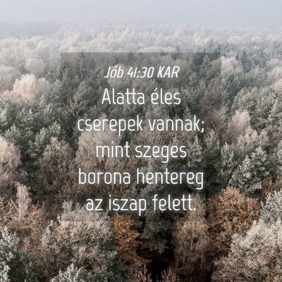 Picture 04 - Jób 41:30 KAR - Alatta éles cserepek vannak; mint szeges borona - Bible Verse Picture