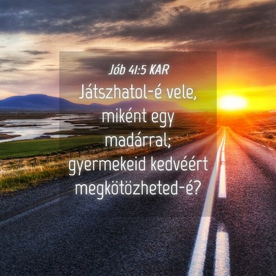 Picture 04 - Jób 41:5 KAR - Játszhatol-é vele, miként egy madárral; - Bible Verse Picture
