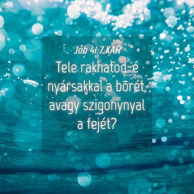 Picture 04 - Jób 41:7 KAR - Tele rakhatod-é nyársakkal a bõrét, avagy - Bible Verse Picture