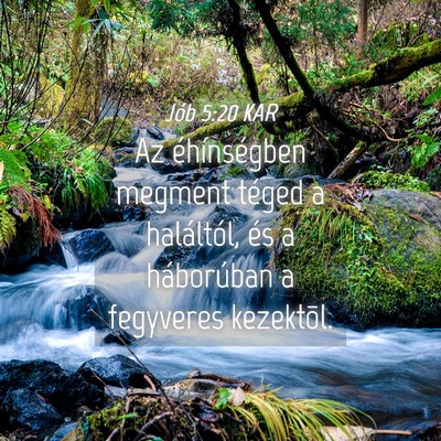 Picture 04 - Jób 5:20 KAR - Az éhínségben megment téged a haláltól, és - Bible Verse Picture
