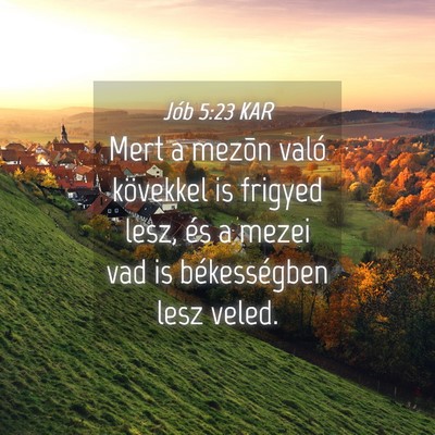 Picture 04 - Jób 5:23 KAR - Mert a mezõn való kövekkel is frigyed lesz, - Bible Verse Picture