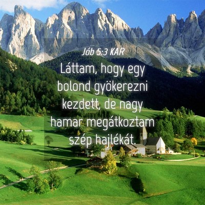 Picture 04 - Jób 5:3 KAR - Láttam, hogy egy bolond gyökerezni kezdett, de - Bible Verse Picture